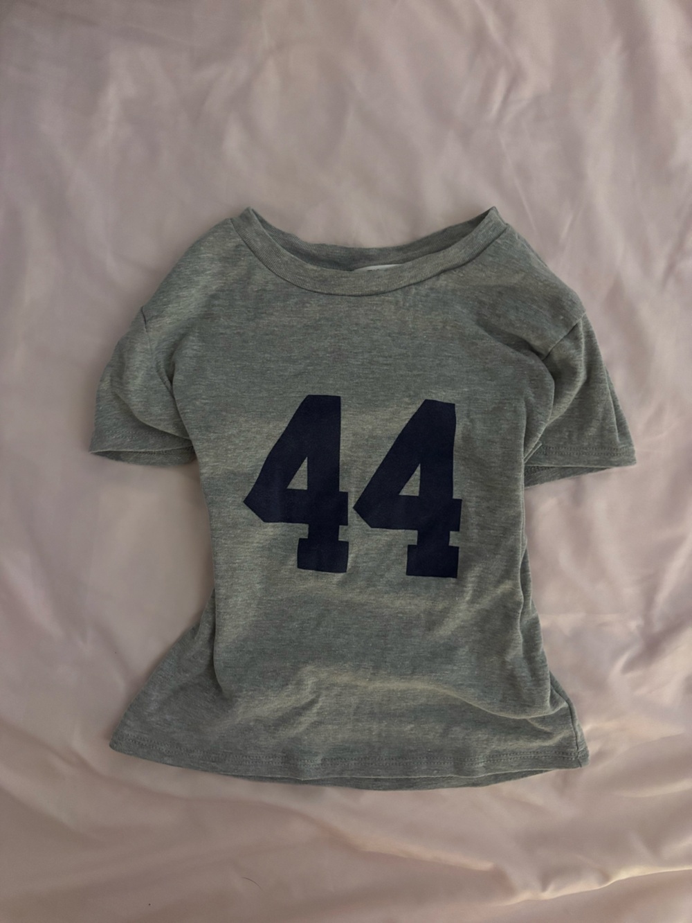 Brandy Melville Gray Tee with Navy '44' Graphic